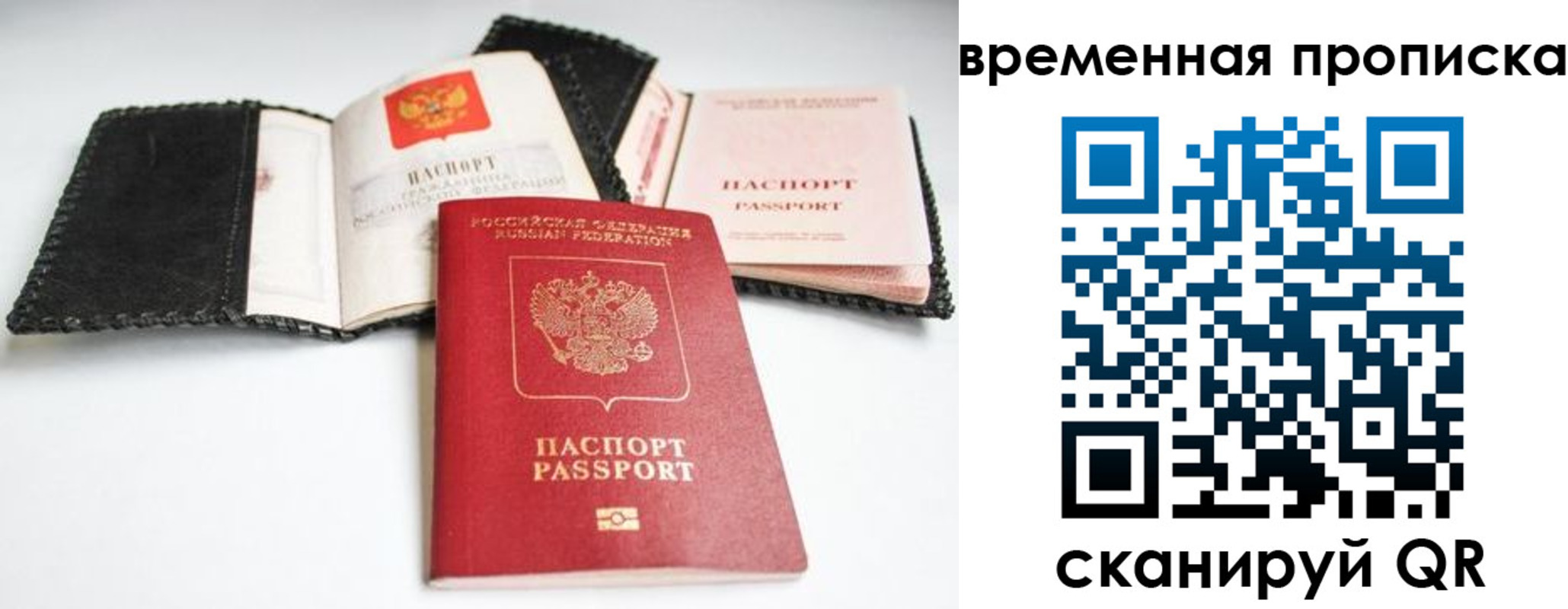 прописка для школы в Железногорске